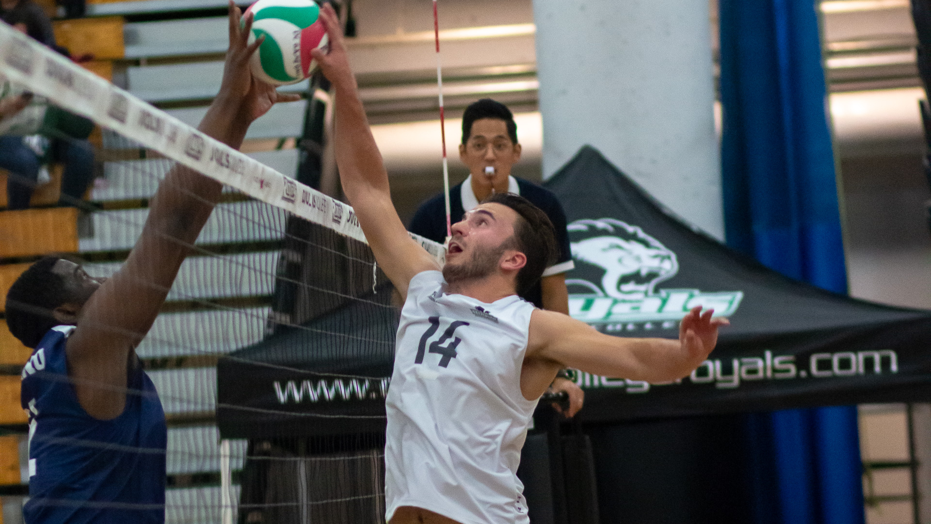5th year veteran, Jared Collin fights for the kill against Capilano